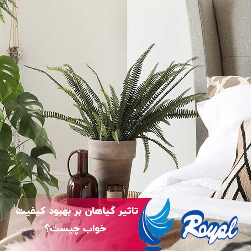 تاثیر گیاهان بر بهبود کیفیت خواب