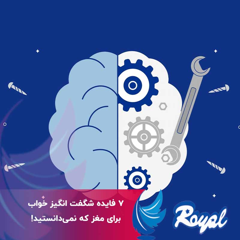 فایده شگفت انگیز خواب برای مغز