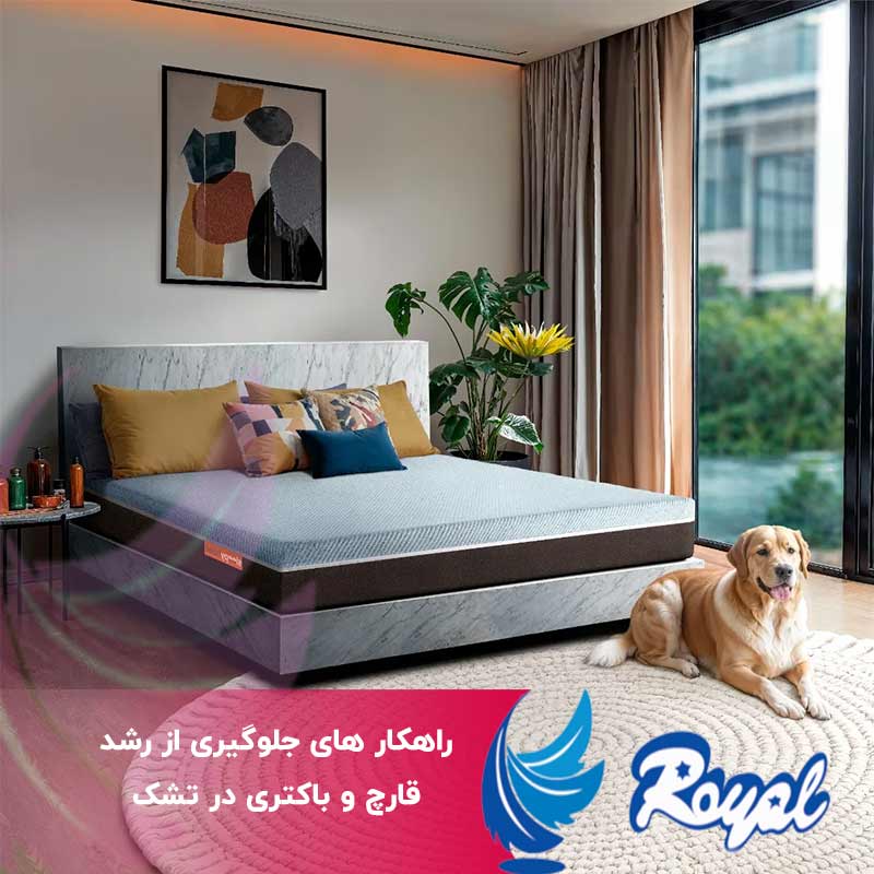 جلوگیری از رشد قارچ و باکتری در تشک