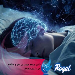 تأثیر چرخه خواب بر مغز