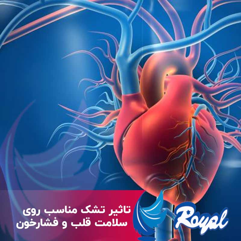 سلامت قلب و فشارخون