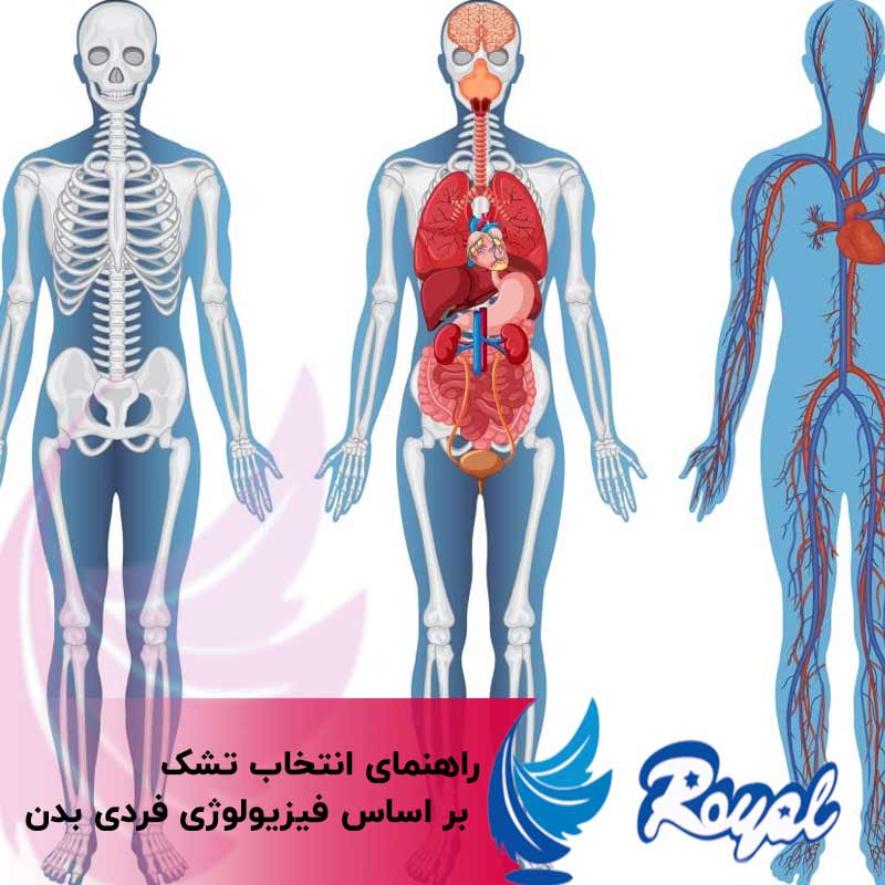 فیزیولوژی فردی بدن